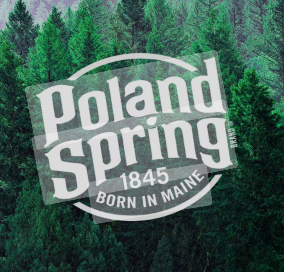 POLAND SPRING(16.9OZ BOTTLES) FULL PALLET, HALF PALLET & 10 CASE OPTIONS/40Pk 16.9 oz Bottled Water